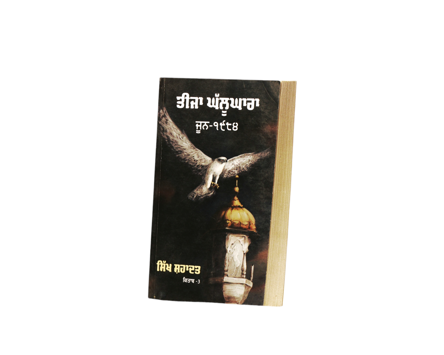 ਤੀਜਾ ਘੱਲੂਘਾਰਾ |  Teeja Ghallughara