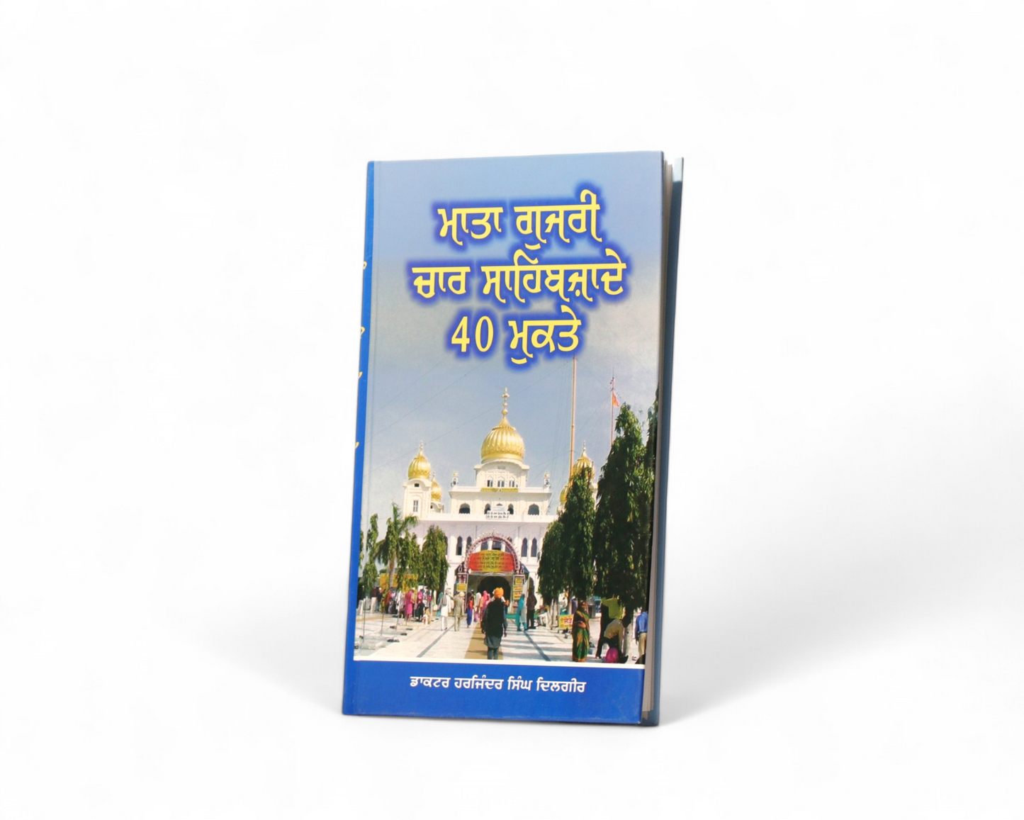 ਮਾਤਾ ਗੁਜਰੀ, ਚਾਰ ਸਾਹਿਬਜ਼ਾਦੇ, ਚਾਲੀ ਮੁਕਤੇ | Mata  Guzri, Chaar Sahibzade, Chaalih Muktay