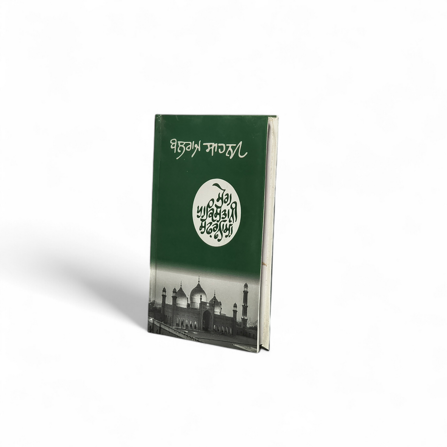 ਮੇਰਾ ਪਾਕਿਸਤਾਨੀ ਸਫ਼ਰਨਾਮਾ | Mera Pakistani Safarnama