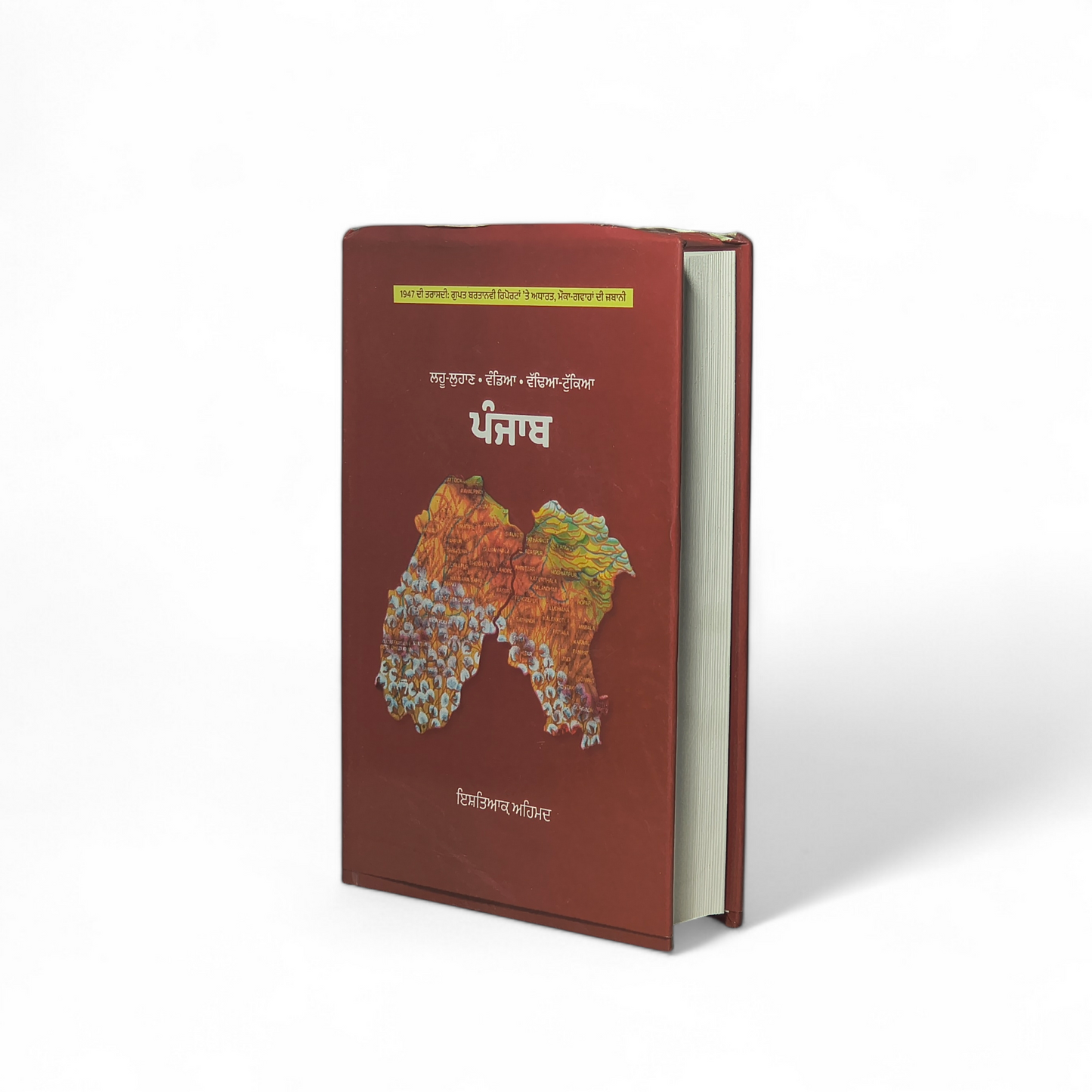 ਪੰਜਾਬ (ਲਹੂ-ਲੁਹਾਣ•ਵੰਡਿਆ•ਵੱਢਿਆ-ਟੁੱਕਿਆਂ) | Punjab