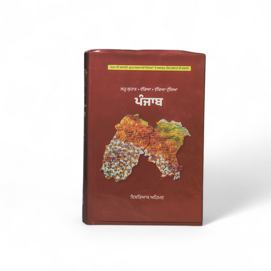 ਪੰਜਾਬ (ਲਹੂ-ਲੁਹਾਣ•ਵੰਡਿਆ•ਵੱਢਿਆ-ਟੁੱਕਿਆਂ) | Punjab