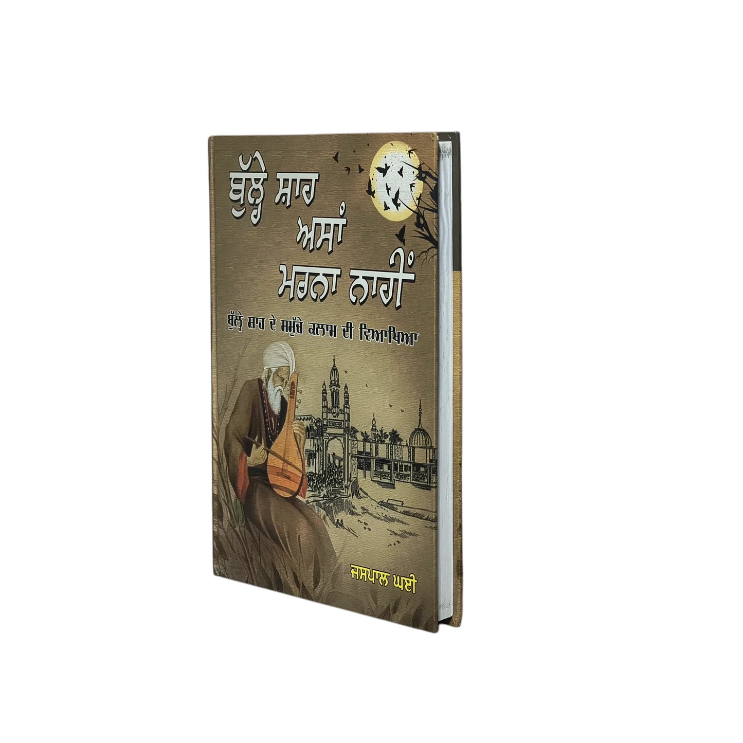 ਬੁੱਲ੍ਹੇ ਸ਼ਾਹ ਅਸਾਂ ਮਰਨਾ ਨਾਹੀਂ | Bulle Shah Asan Marna Naahi