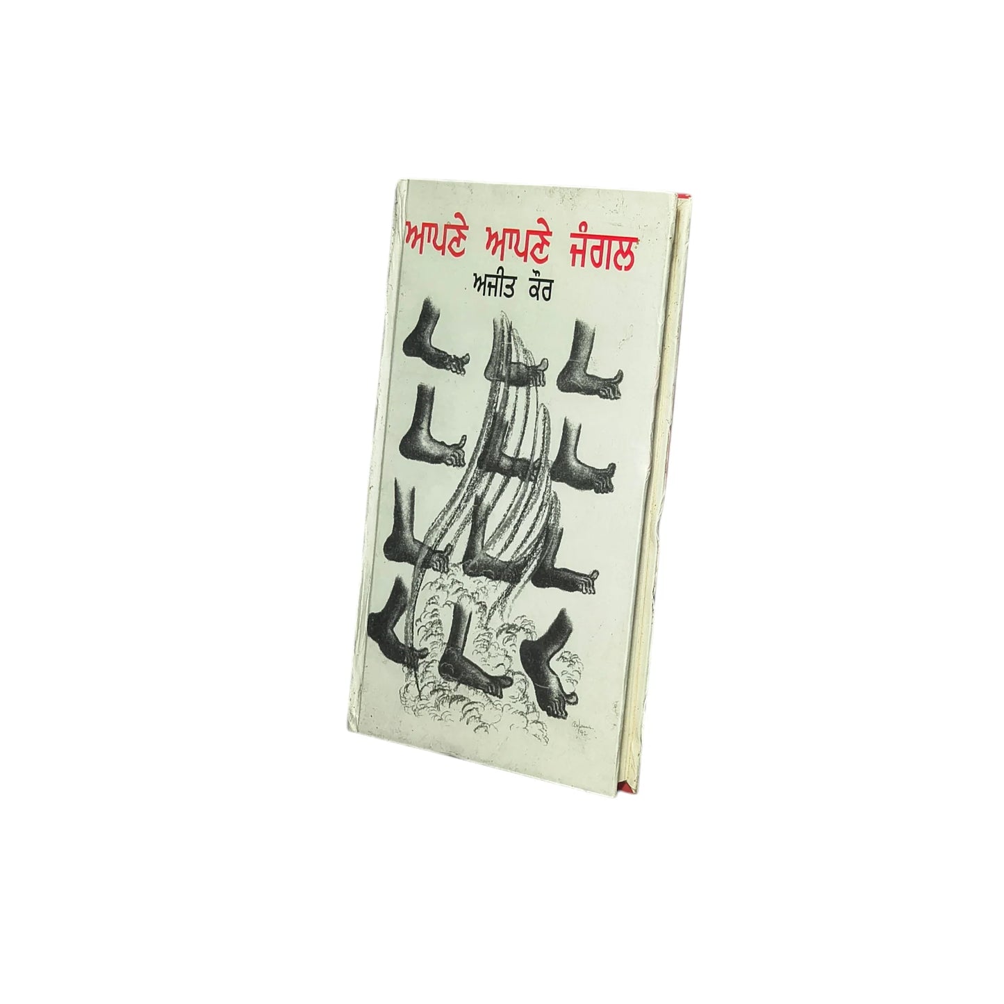 ਆਪਣੇ ਆਪਣੇ ਜੰਗਲ | Apne Apne Jungal