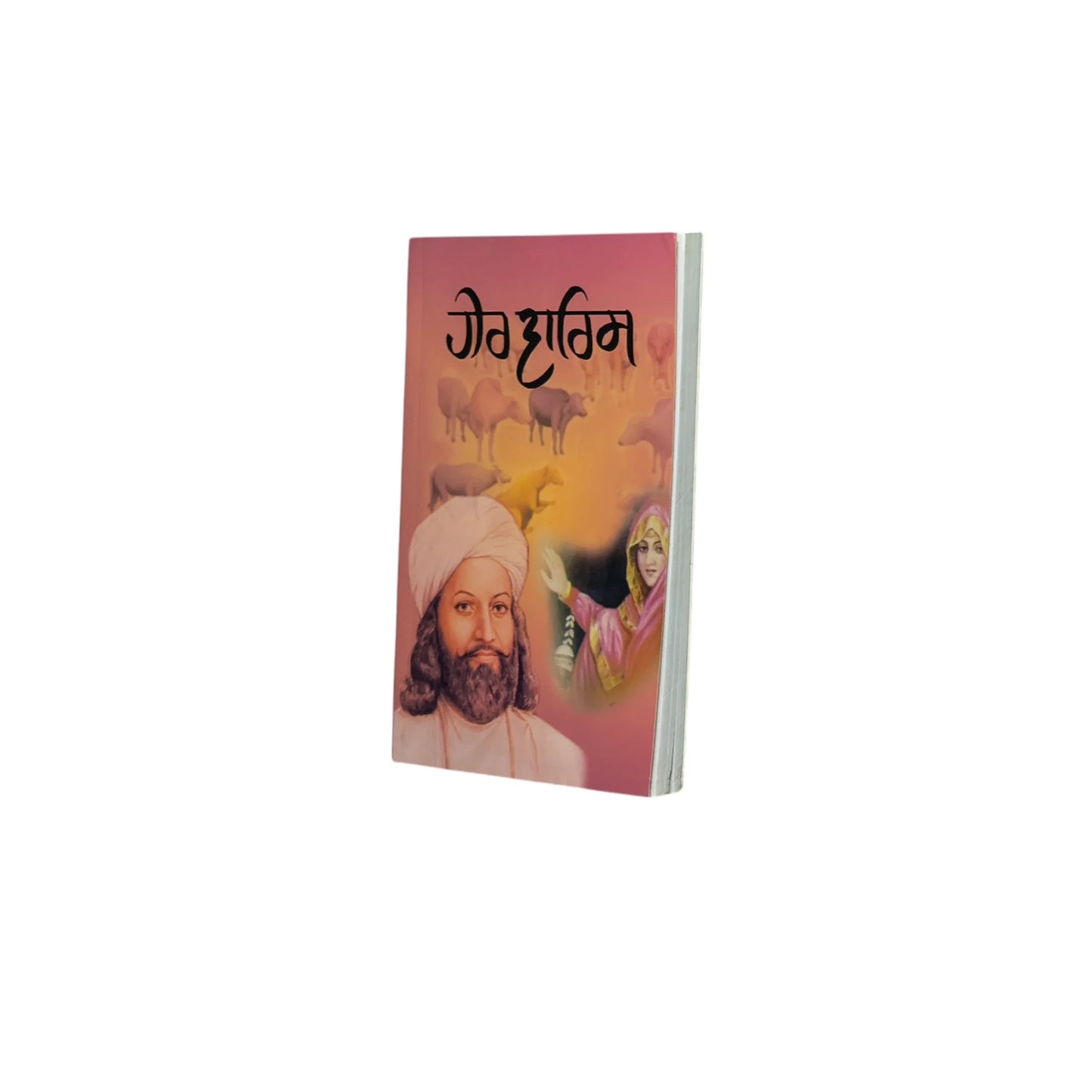 ਹੀਰ ਵਾਰਿਸ ਸ਼ਾਹ | Heer Warish Shah