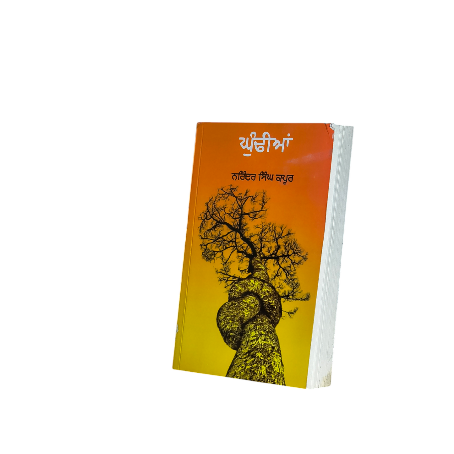 ਘੁੰਢੀਆਂ | Ghundhyian