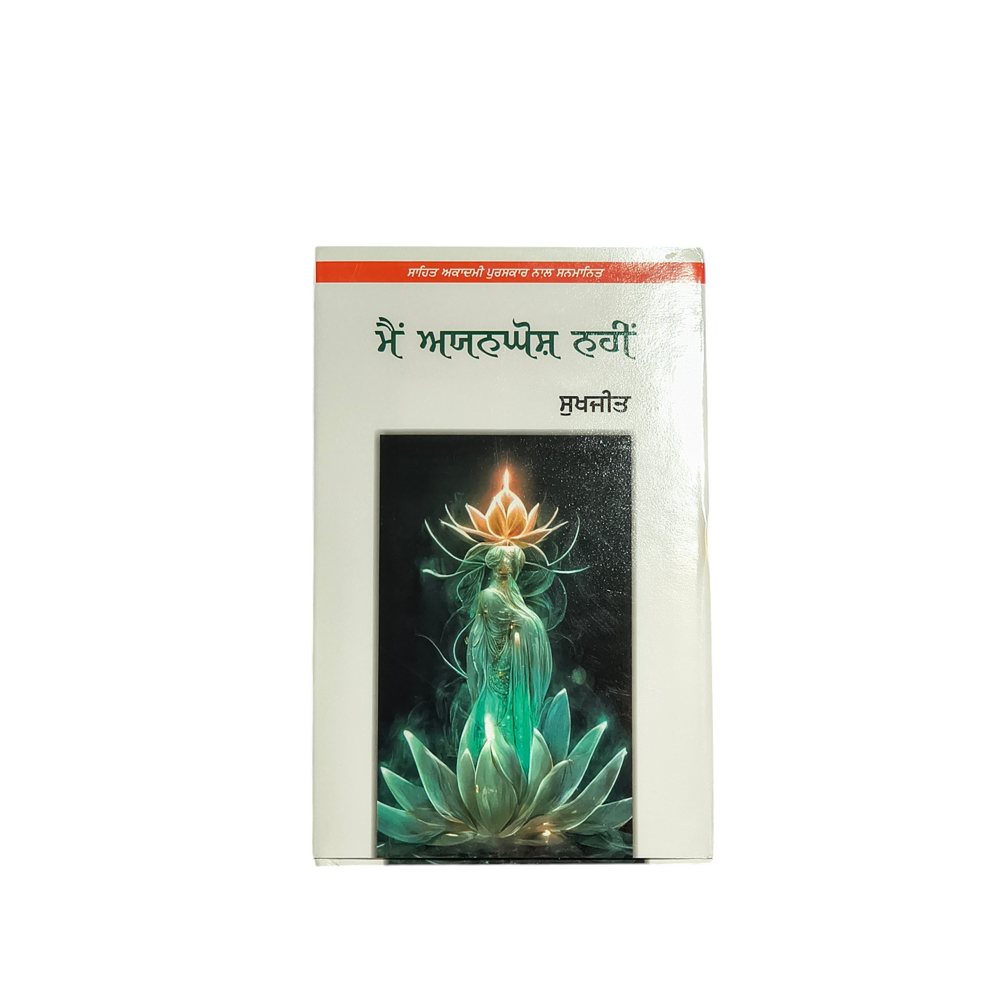 ਮੈਂ ਅਯਨਘੋਸ਼ ਨਹੀਂ | Main Ayanghosh Nhi